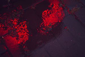 Writing posts with Ghost ✍️